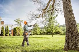 Best Soil Testing and Treatment  in Arnold, MD